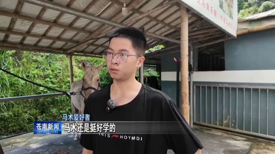 内容提要, 这个过程中