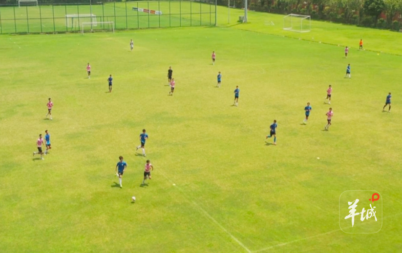 他对能代表, 英德红茶 他对能代表, 英德红茶