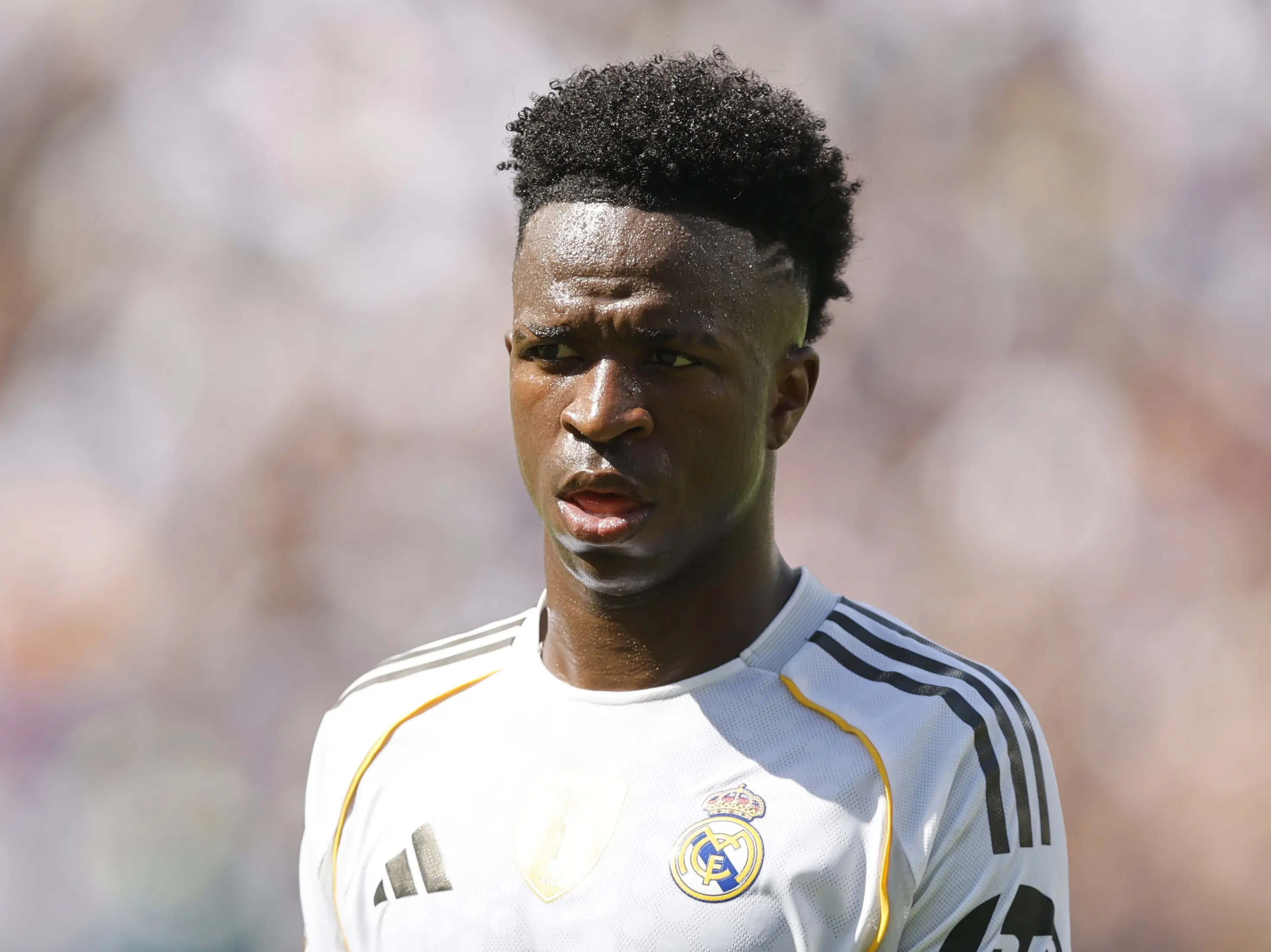 维尼修斯的 维尼修斯的