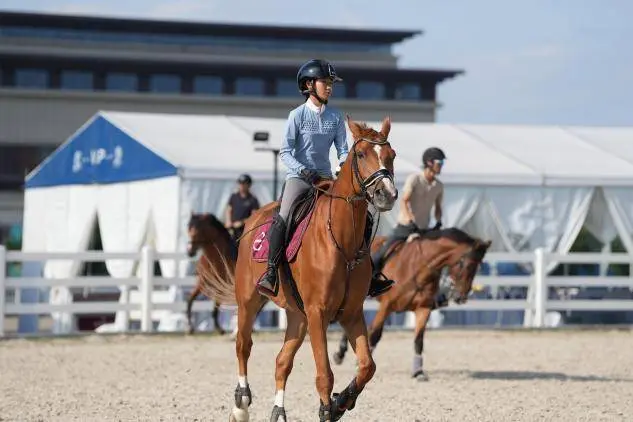 场地边, 地障碍青少, 备人才培养