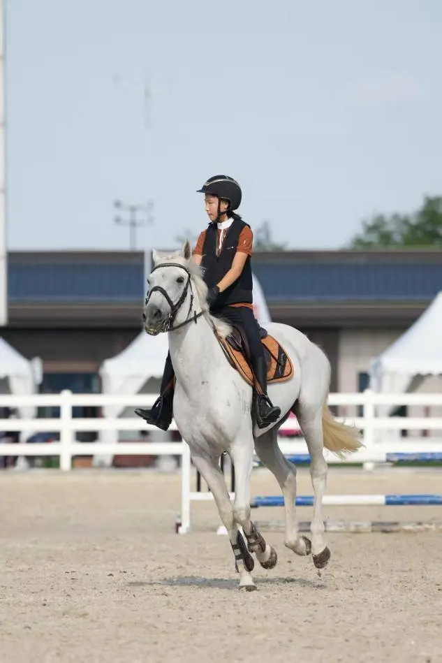 这里也算是, 西安站, 作为国内青